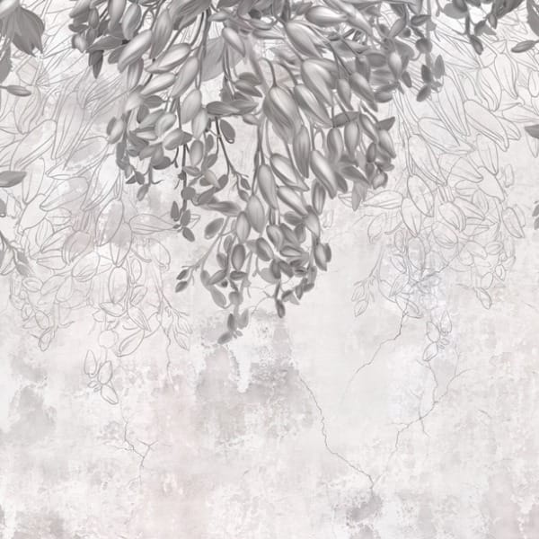 Šedý břečťan - Image 2