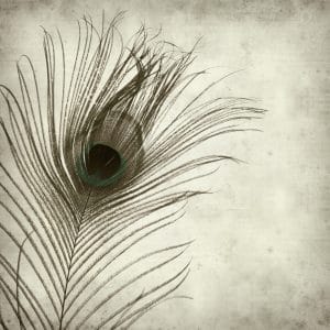 Nástěnná malba s motivem ptačího peří v odstínech zelené a šedé Peacock Eye in Grey - obrázek číslo 2