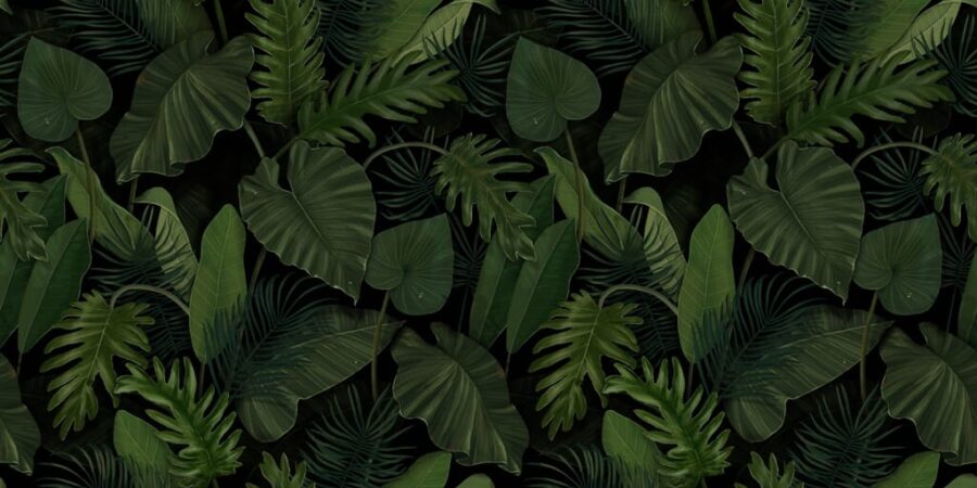 Nástěnná malba v tmavých a živých barvách s exotickými rostlinami je dokonalým doplňkem moderního obývacího pokoje Green Leaves - obrázek číslo 2