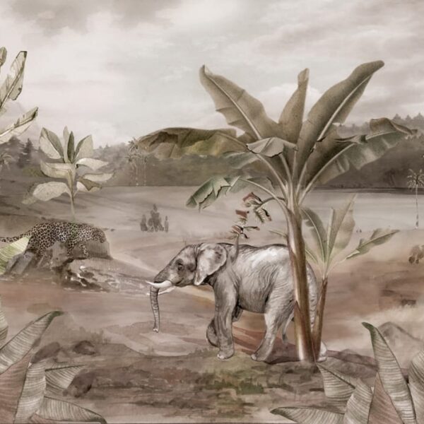 Divoká Afrika - Image 2