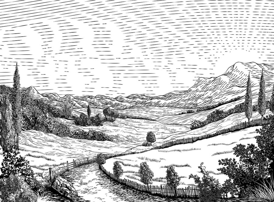 Černobílá krajina - Image 2
