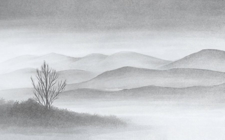 Misty Calm - Image 2