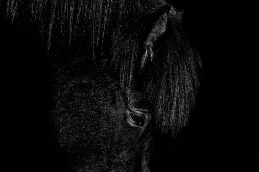 Ticho noci - Image 2